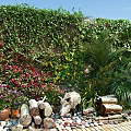 Living Plant Wall with Lush Vines Colorful Flowers Palms Logs and Pebbles Under Blue Sky