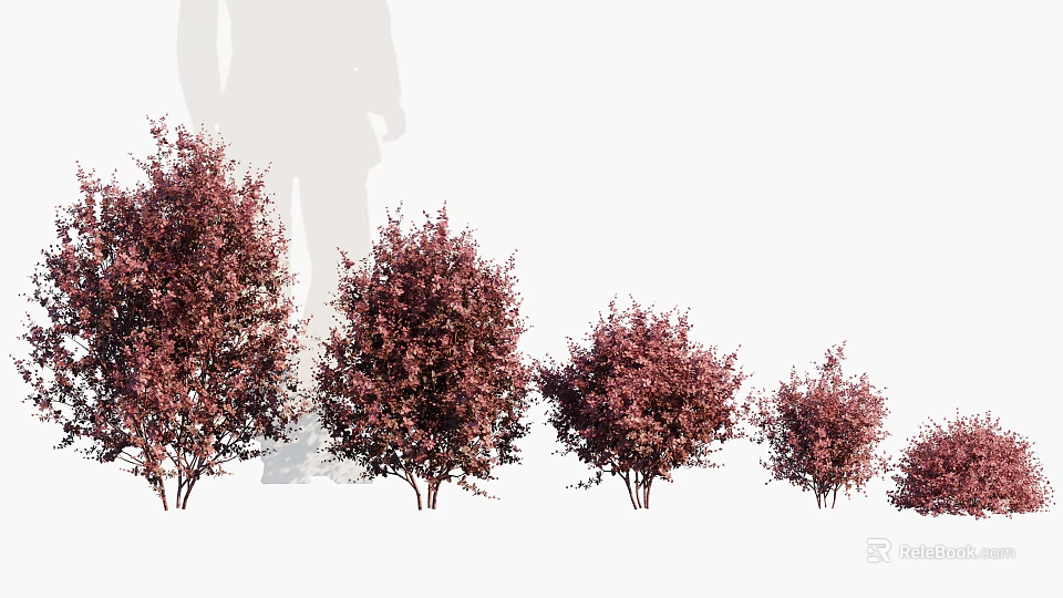 Purple Red Shrubs in Various Sizes for Garden Landscaping Decoration 3d model 