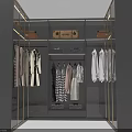 Elegant Modern Wardrobe Interior Design With Hanging Dresses Shirts And Storage Boxes