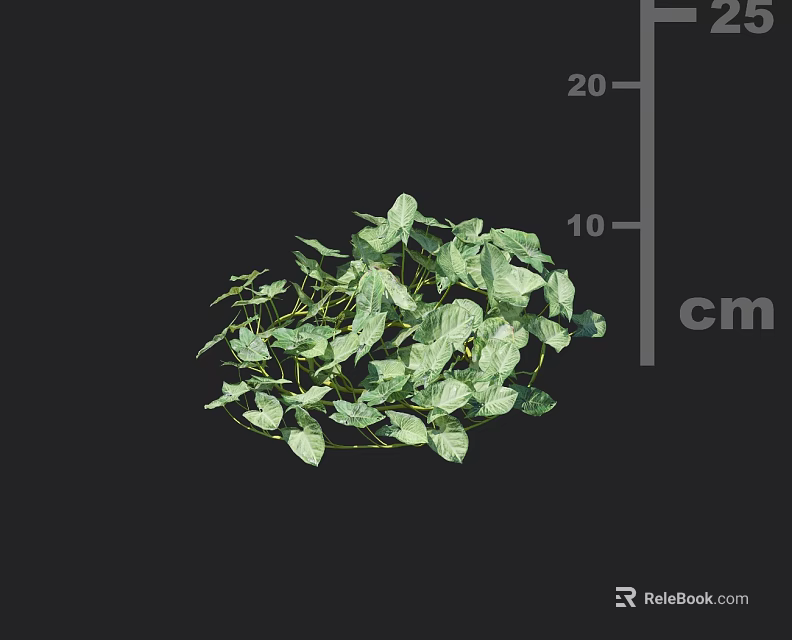 Leafy Green Vines with Lush Foliage Measuring 10 to 20 cm in Size 3d model 
