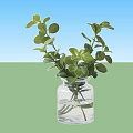 Two Green Potted Plants in Clear Glass Vases with Water and Round Leaves