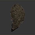 Modern Hedgehog Cartoon Hedgehog Animation Hedgehog 3d model