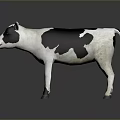 Black and White Calf Model Standing on Gray Background with Reflection 3d model