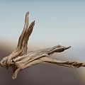 Dry Tree Branch with Weathered Texture Against Blurred Sky and Distant Mountains 3d model