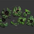 Green Monstera Plants With Large Leaves In Various Colored Potted Containers For Home Decor