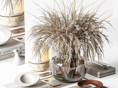 Decorative Ornament Set With Clear Glass Vase Dried Pampas Grass Books And Plates 3d model