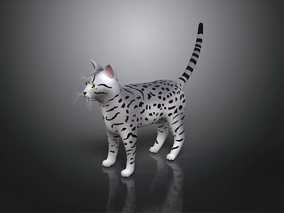 Gray White Spotted Cat With Black Stripes Striped Tail And Green Eyes On Black Surface 3d model