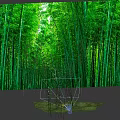 Tall Green Bamboo Forest with Lush Canopy and Sunlight Filtering Through Leaves