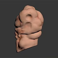 Muscular Torso Model With Well Defined Abdominal Muscles And Chest Muscles