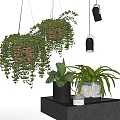 Lush Green Hanging Basket Plants With Potted Greenery On Gray Decorative Platform