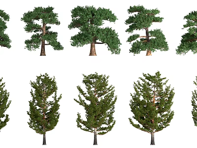 Different Types of Arbor Trees with Green Foliage and Various Canopy Shapes 3d model