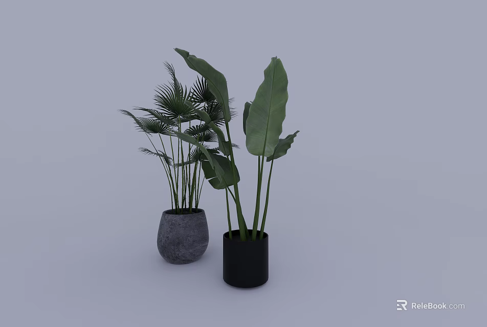 Potted Plants with Gray and Black Pots Large Green Leaves for Indoor Decoration 3d model 