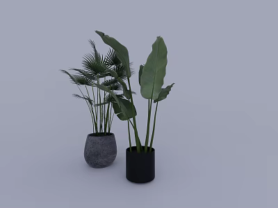 Potted Plants with Gray and Black Pots Large Green Leaves for Indoor Decoration 3d model