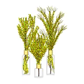 Transparent Glass Vases With Golden Tops Holding Fresh Green Foliage For Home Decor