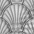 Teal Scallop Shaped Tile Wall Decor Pattern