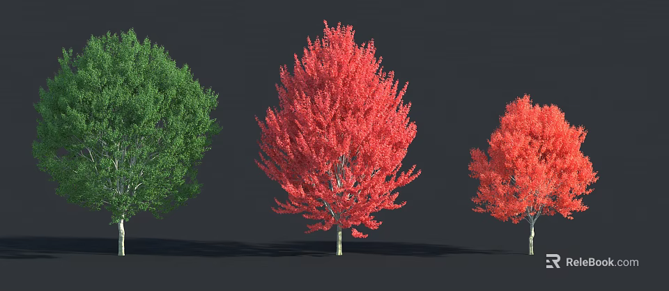 Vibrant Green And Red Arbor Trees Featuring Lush Foliage Full Canopy Against Dark Background 3d model 