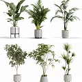 Decorative Indoor Potted Plants With Various Leafy Green Types And Stylish Containers