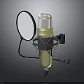 Professional Golden Microphone Setup With Pop Filter Shock Mount And Stand 3d model