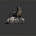 Artistic Sea Lion Sculpture Sitting On Natural Stone Base Decoration