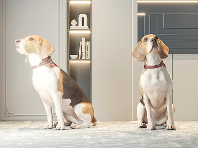 Two Beagle Dogs Sitting Indoors With Modern Bookshelf And Red Collars 3d model