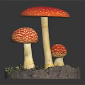 Modern mushroom straw mushroom poisonous mushroom 3d model