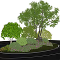 Municipal Road Roundabout With Green Island Trees Shrubs And Lawn