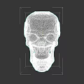 Futuristic Mechanical Skull Sculpture with Intricate Design and Metallic Details