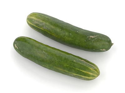 Fresh Green Organic Cucumbers with Striped Skin on White Background 3d model