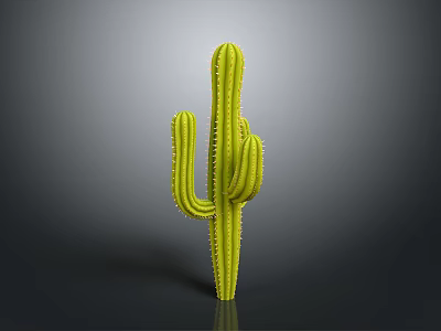 Tall Green Cactus Plant With Spiny Arms Standing On Gray Background 3d model