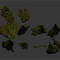 Green Moss Covered Plant Branches With Irregular Shapes And Natural Texture