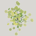 Yellow Hydrangea Flowers in Tall Clear Glass Vase with Fresh Green Leaves