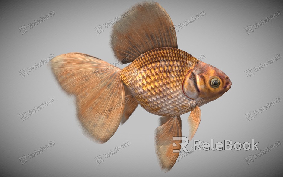 goldfish koi carp ornamental fish model