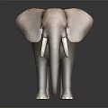 Grey Elephant With Long Trunk Large Ears Long Tusks Standing Isolated On Black Background
