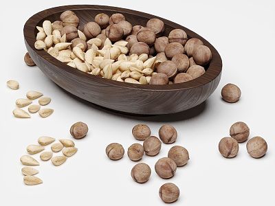 walnut almond nut 3d model