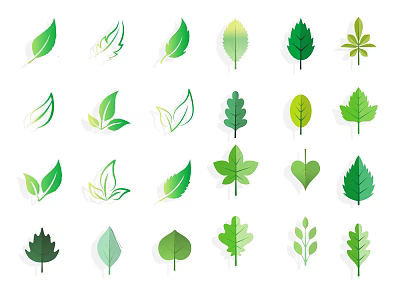 Green Leaf Silhouettes With Various Shapes And Decorative Design Elements Collection 3d model