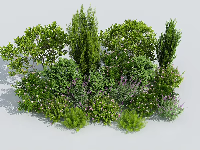 Various Types of Lush Green Shrubs for Garden Landscaping and Natural Design 3d model