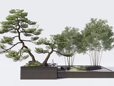 Japanese Style Courtyard Garden With Bonsai Pine Tree Bamboo And Stone Planter 3d model