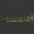 Cartoon Style Garden Scene with Various Trees Flowers and Green Plants