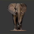 Detailed Gray Elephant Sculpture with Ivory Tusks Standing on Pink Base