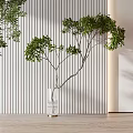 Transparent Glass Vases with Green Branches on Light Wooden White Shelf Against Vertical Striped Wall