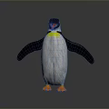 Penguin With Black And White Body Orange Feet Yellow Neck Standing With Outstretched Wings