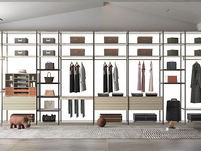 Modern Open Wardrobe Interior With Hanging Clothes Shelves Bags And Suitcases 3d model