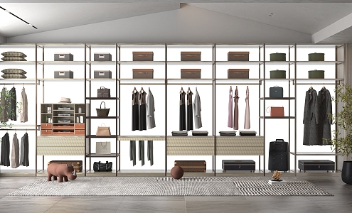 Modern Wardrobe Metal Open Wardrobe 3d model