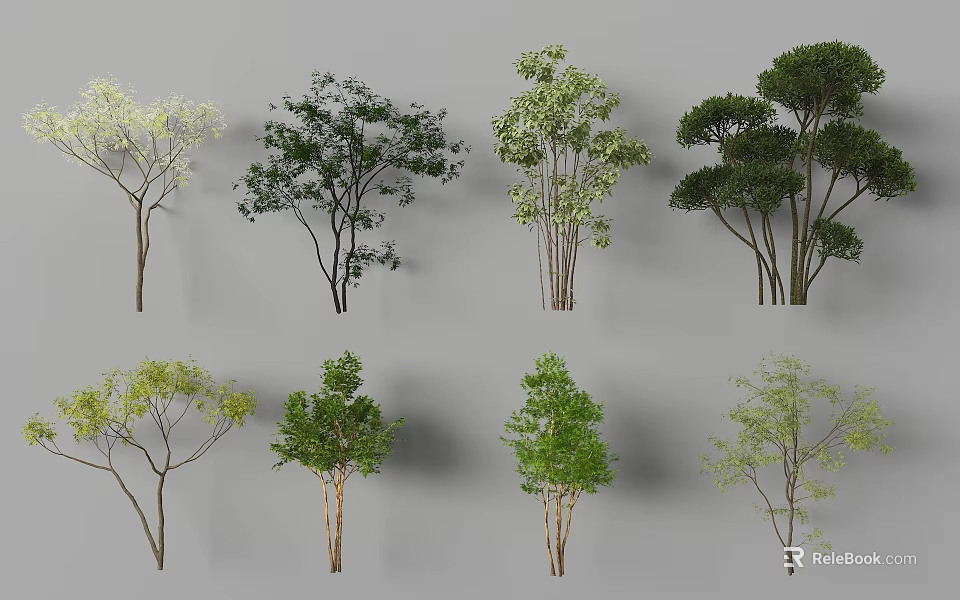 Various Arbor Species With Green Foliage And Different Growth Forms 3d model