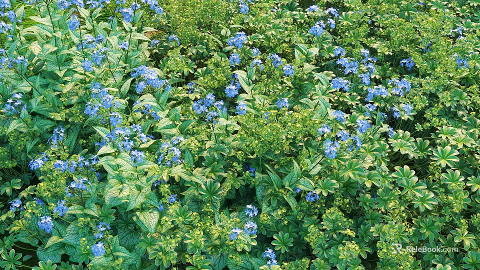 Lush Shrubs With Vibrant Blue Flowers And Green Leaves In Garden Landscape 3d model 