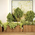 Lush Plant Combination in Wooden Planters with Various Green Shrubs and Herbs in Indoor Space