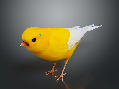 Small Yellow Bird with White Wings Green Eye Mark Orange Beak Claws on Gray Background 3d model