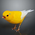 Small Yellow Bird with White Wings Green Eye Mark Orange Beak Claws on Gray Background