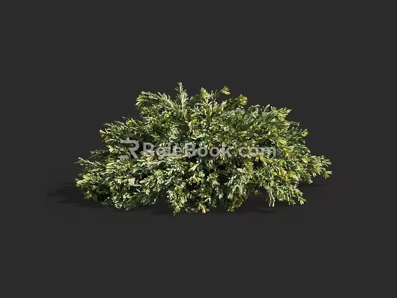 cypress juniper pine cypress hedgerow pruning tree landscaping ornamental garden tree 3d model
