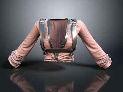 Pink Long Sleeve Top With Metal Buckles Straps And Knitted Fabric Design 3d model